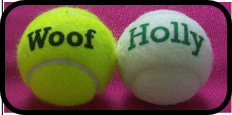 Balls for pets