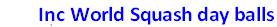 wp5501d411.png