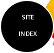 wp9e783314.png