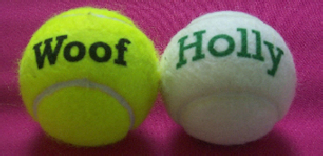  dog balls,named