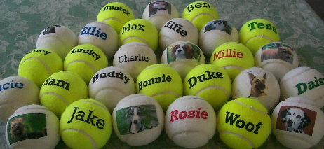 Balls fopr pets-branded -made by Price of Bath IN uk