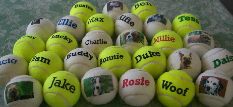 dog balls printed with pictures and names,made by J Price